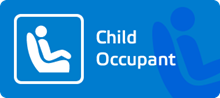 Child Occupant Protection Assessment, 